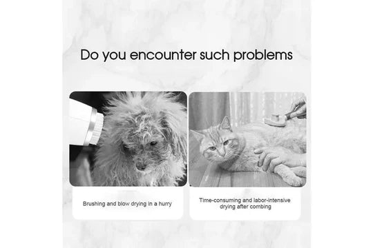2-In-1 Portable Pet Hair Dryer Comb Brush Pet Grooming Cat Hair Comb Dog Dryer