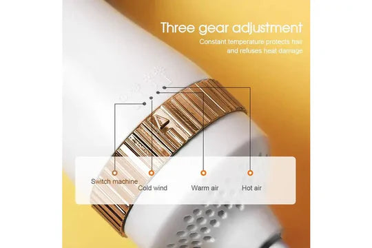 2-In-1 Portable Pet Hair Dryer Comb Brush Pet Grooming Cat Hair Comb Dog Dryer
