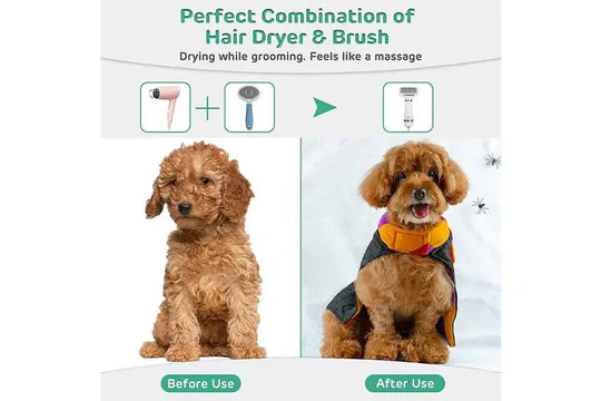 2-In-1 Portable Pet Hair Dryer Comb Brush Pet Grooming Cat Hair Comb Dog Dryer