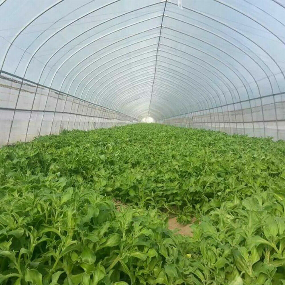 10M Garden Netting Crops Plant Protect Mesh Bird Net Insect Less Than 5mm x 5mm