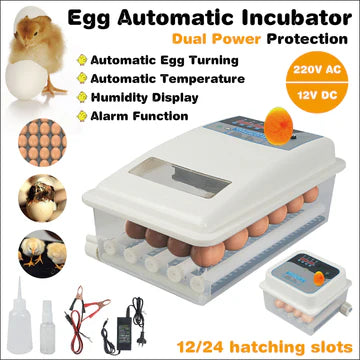 12/24 Egg Incubator Fully Automatic Digital Led Turning Chicken Eggs Poultry