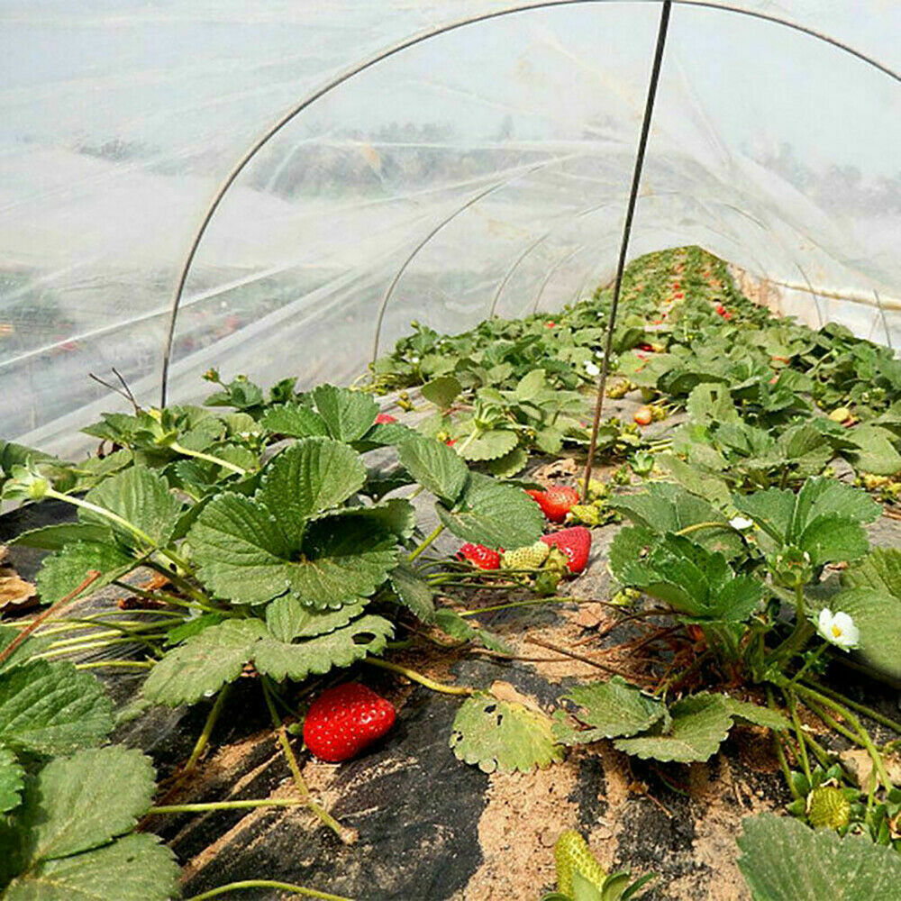 10M Garden Netting Crops Plant Protect Mesh Bird Net Insect Less Than 5mm x 5mm