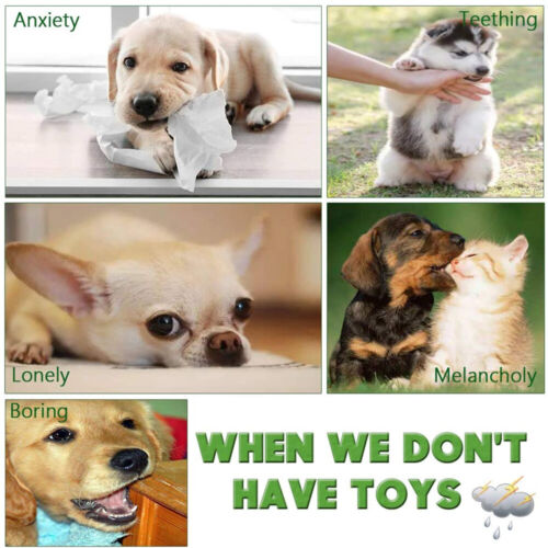 10 PCS Durable Cotton Rope Pet Dog Toys Puppy Pull Teeth Chew Bite Toy Tough