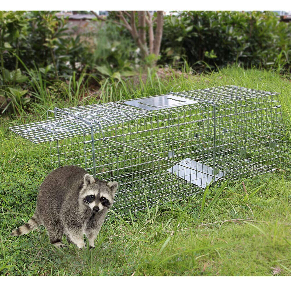 Humane Live Animal Trap Possum Rat Feral Cat Rabbit Hare Fox Catch Folding Cage