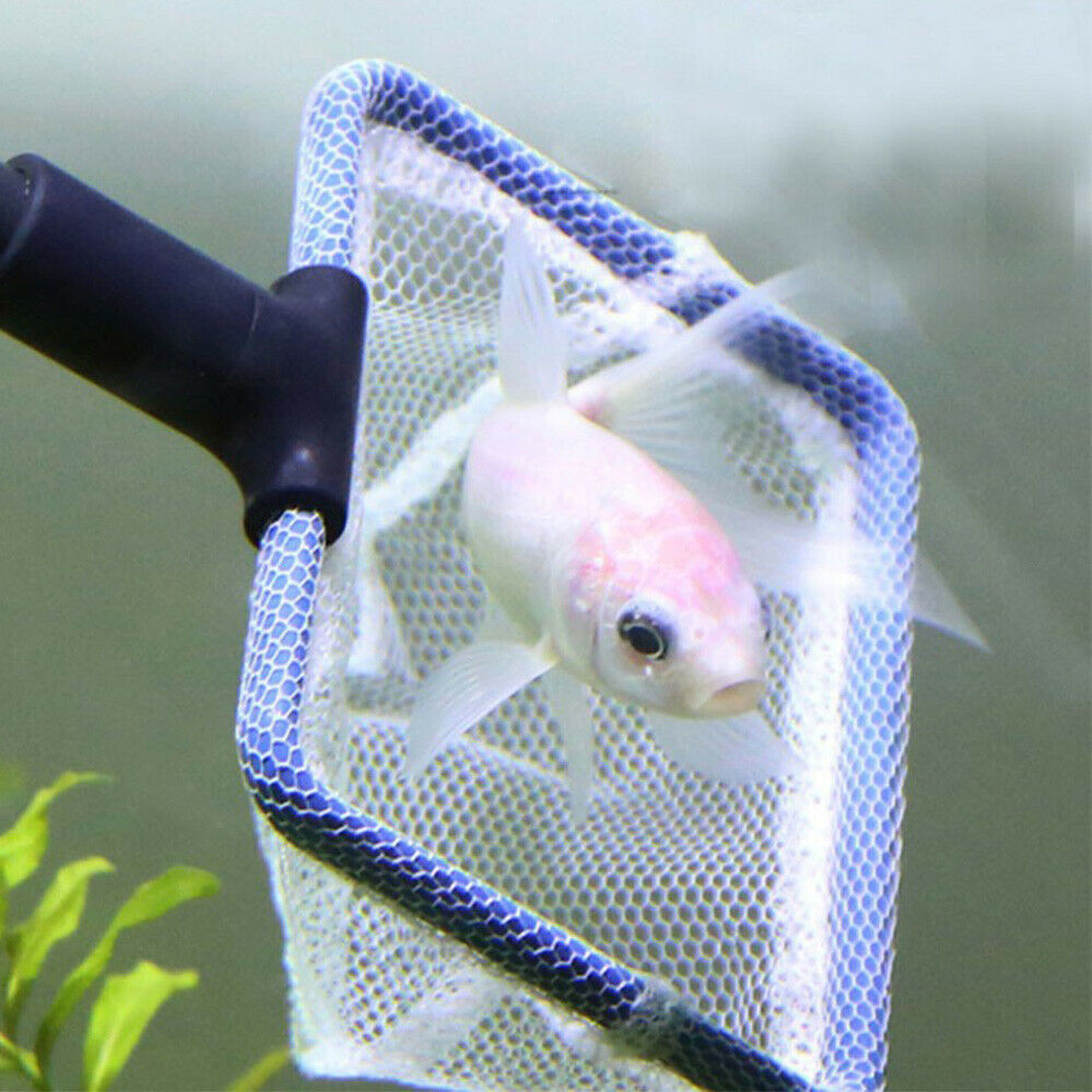 Water Aquarium Cleaning Tool 5 in1 Fish Tank Gravel Vacuum Glass Cleaner Brush