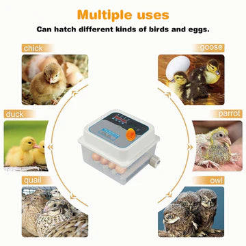 12/24 Egg Incubator Fully Automatic Digital Led Turning Chicken Eggs Poultry