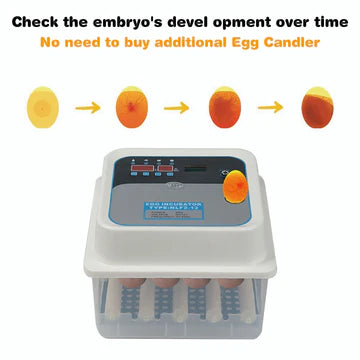 12/24 Egg Incubator Fully Automatic Digital Led Turning Chicken Eggs Poultry