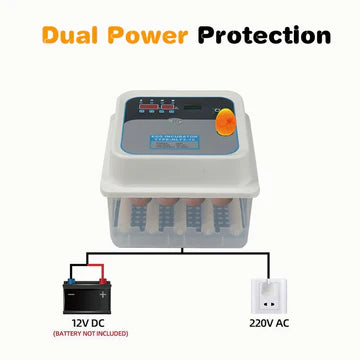 12/24 Egg Incubator Fully Automatic Digital Led Turning Chicken Eggs Poultry