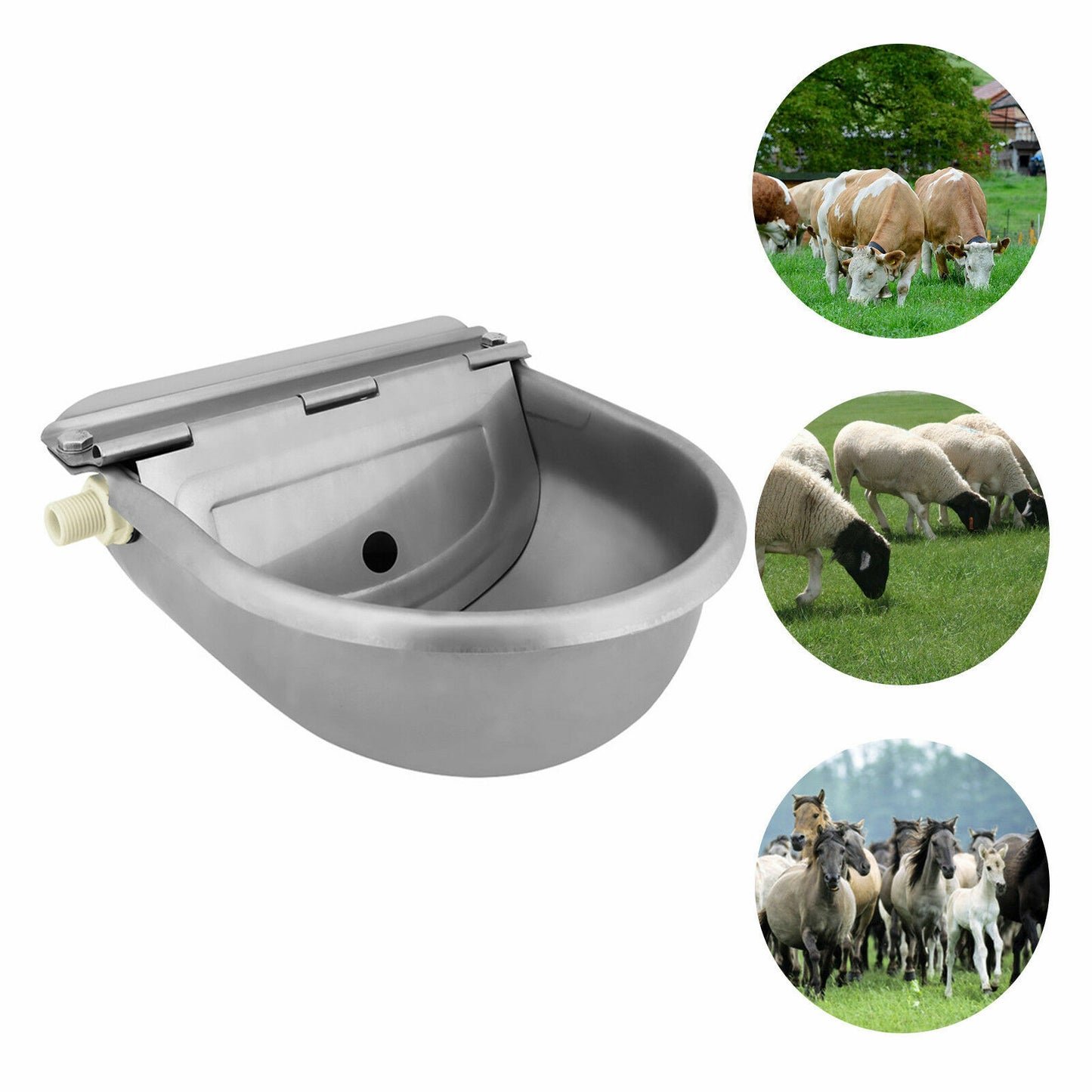 Stainless Water Trough Bowl Automatic Drinking For Dog Horse Chicken Auto Fill