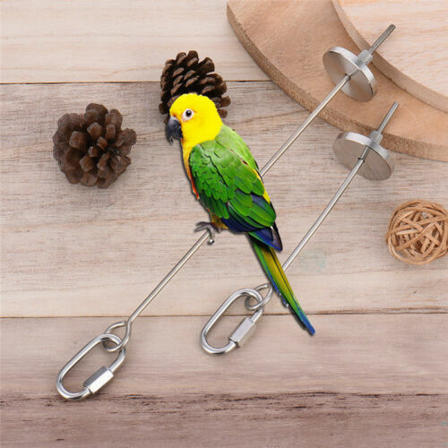 Parrot Birds Toys 10pcs Swing Chewing Toys Bell Hammock Cage Budgie Cockatiel