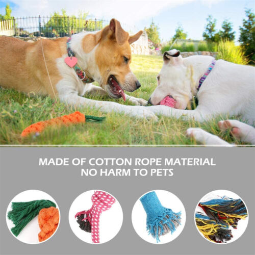 10 PCS Durable Cotton Rope Pet Dog Toys Puppy Pull Teeth Chew Bite Toy Tough