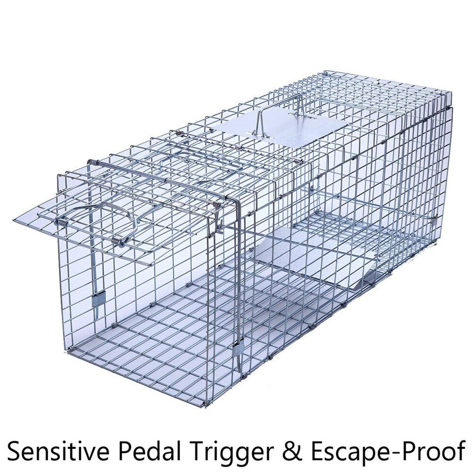 Humane Live Animal Trap Possum Rat Feral Cat Rabbit Hare Fox Catch Folding Cage