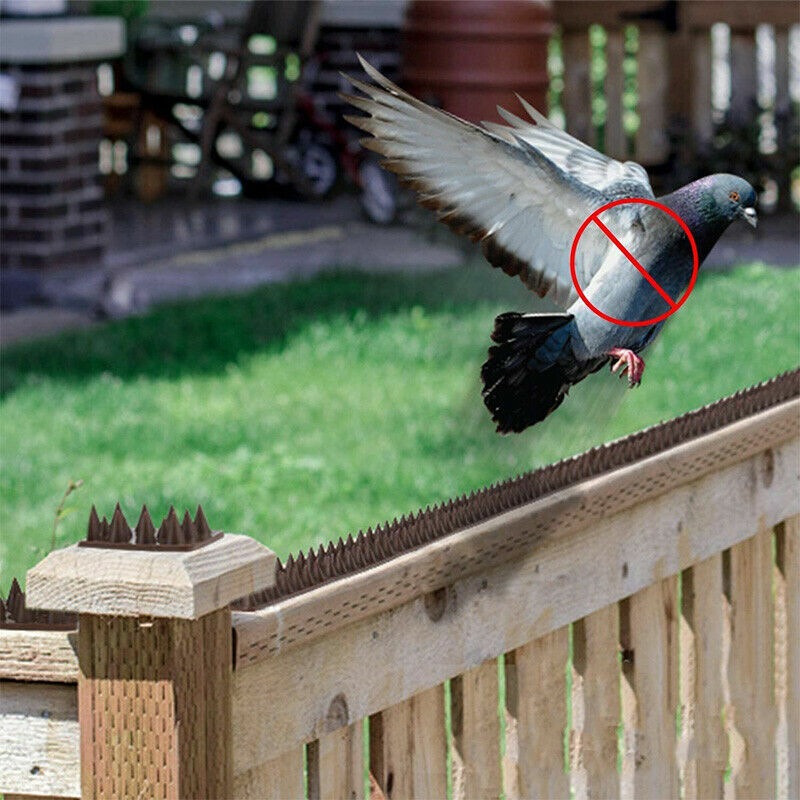 12pcs Bird Spikes Human Cat Possum Mouse Pest Control Spiked Fence Wall