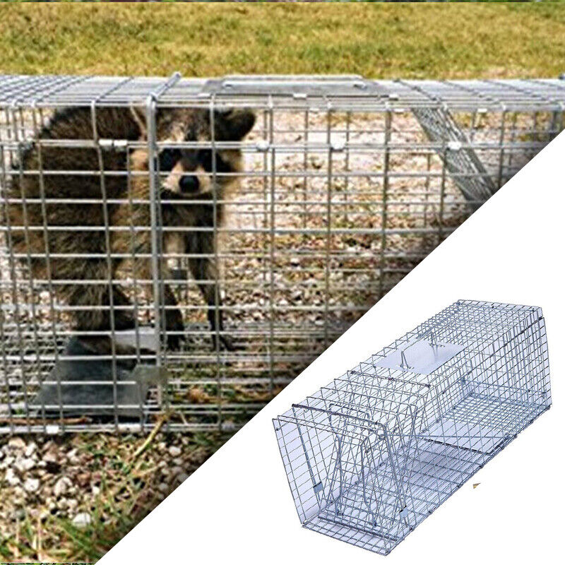 Humane Live Animal Trap Possum Rat Feral Cat Rabbit Hare Fox Catch Folding Cage