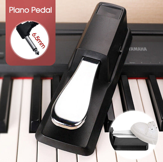 Piano Damper Sustain Pedal Foot Switch for Electric Yamaha Casio Roland Keyboard